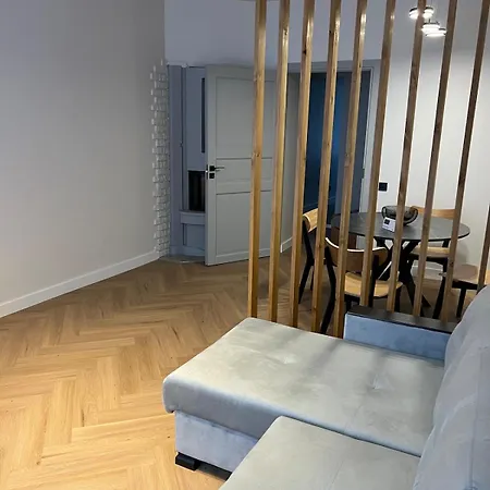 Apartment Cozy 2 -room In The Center Of - Lacplesa